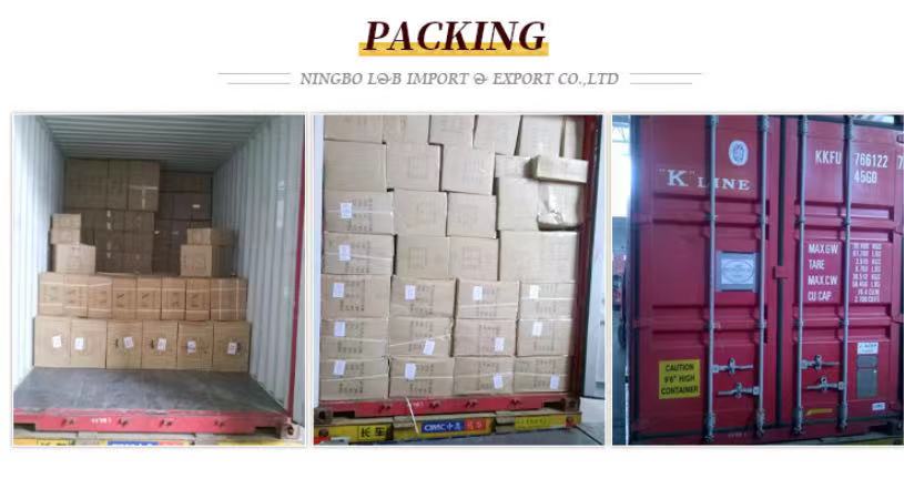 Clothing Accessories Gold and Silver Metallic Border Lace Trim Metallic Gold Sequins Embroidery Tatting Lace Trim